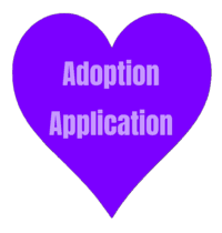 Adoption Application