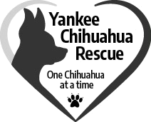 Yankee Chihuahua Rescue logo